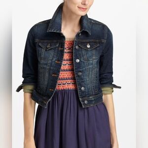 Anthropologie Inner Art Denim Jacket With Frightened Rabbit Art